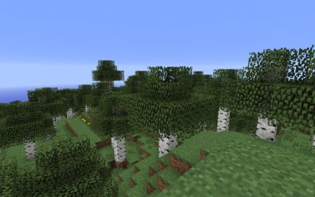 Birch forest Minecraft