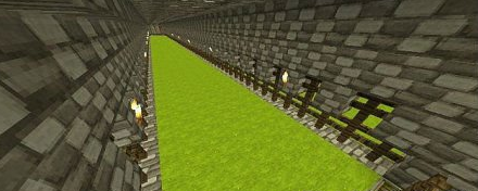 Map Cow Race for Minecraft