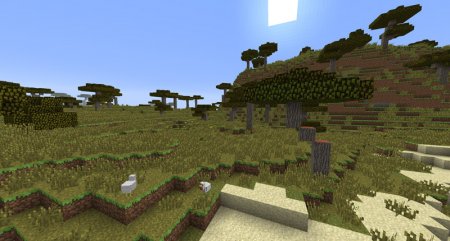 Savanna Minecraft